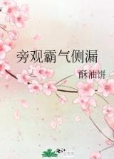 平西王事件 作者：SG飞艇app